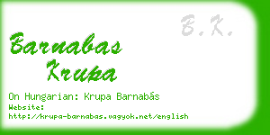 barnabas krupa business card